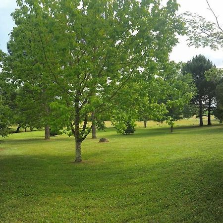 Une Pause Nature Chez Marion Et Cedric Montignac-Toupinerie Luaran gambar