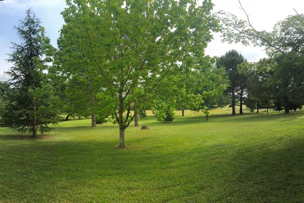 Une Pause Nature Chez Marion Et Cedric Montignac-Toupinerie Luaran gambar